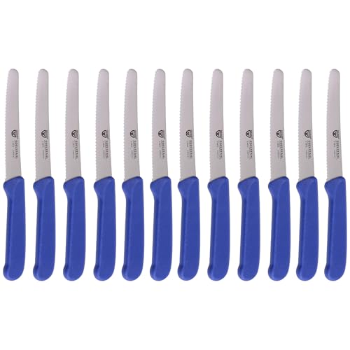 GRÄWE Tafelmesser 12 Stück, Messerset zum Schneiden, 12er Pack Brötchenmesser, Frühstücksmesser mit einseitigem Wellenschliff, Brotmesser, scharfe Messer für Brotzeit, 21 cm - Blau von GRÄWE