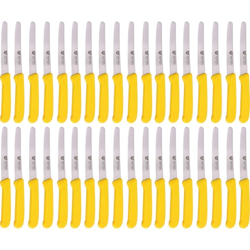 GRÄWE Tafelmesser 36 Stück, Messerset zum Schneiden, 36er Pack Brötchenmesser, Frühstücksmesser mit einseitigem Wellenschliff, Brotmesser, scharfe Messer für Brotzeit, 21 cm - Gelb GRÄWE Tafelmesser 36 Stück, Messerset zum Schneiden, 36er Pack Brötchenmesser, Frühstücksmesser mit einseitigem Wellenschliff, Brotmesser, scharfe Messer für Brotzeit, 21 cm - Gelb von GRÄWE
