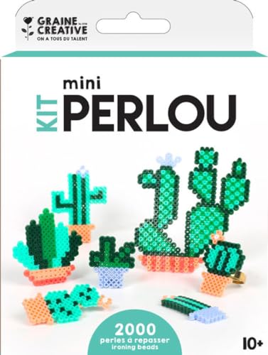 Kit Mini Perlou 2000 Kaktusperlen Kit Mini Perlou 2000 Kaktusperlen von GRAINE CREATIVE