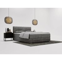 Graingold - Boxbett mit Bettkasten 160x200, Grau Samt, Forte von GRAINGOLD