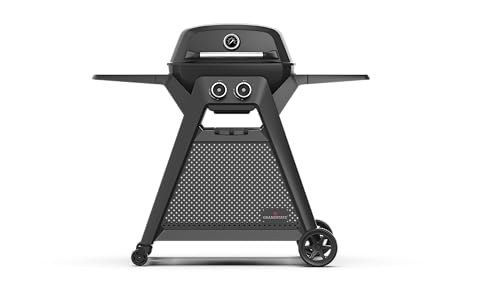 GRANDSTATE 2-Brenner Gasgrill BLACK KITE 200 mit Grillwagen, Fettauffangschale, leistungsstarker Doppelbrenner, abnehmbare Seitenablagen, zwei höhenverstellbare Gussroste, Gesamtleistung: 7,2 kW von GRANDSTATE