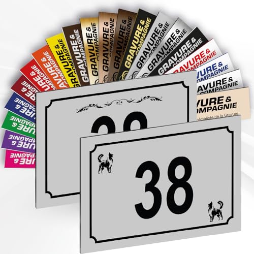 Hausnummer Schild – Dekorative personalisierte PVC Außenplatte mit gravierter Nummer & Logo/Motiv – Befestigung mit Klebefolie, Schrauben oder Abdeckkappen – 15 x 10 cm (Mattgrau + Design) von GRAVURE CONCEPT