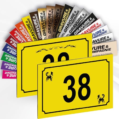 Hausnummer Schild – Dekorative personalisierte PVC Außenplatte mit gravierter Nummer & Logo/Motiv – Befestigung mit Klebefolie, Schrauben oder Abdeckkappen – 15 x 10 cm (Gelb + Design) von GRAVURE CONCEPT