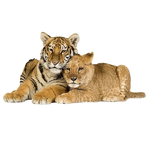 GRAZDesign Wandtattoo Tiger mit Baby | Wandaufkleber Afrika | Wandsticker Deko Aufkleber 3d - 112x57cm von GRAZDesign