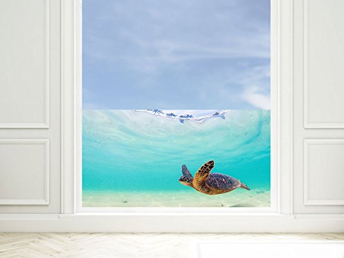 GRAZDesign Fensterfolie Bad Blickdicht bunt Schildkröte - Sichtschutzfolie maritim Badezimmer - für Dusche & Fenster - 100x57cm / Silbergrau von GRAZDesign