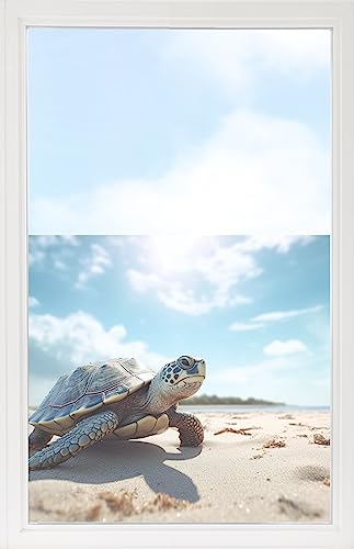GRAZDesign Fensterfolie Blickdicht Sichtschutz, Sichtschutzfolie Fenster, Glastüren, Duschkabine, Milchglasfolie Bedruckt mit Motiv Schildkröte am Strand 60x57cm von GRAZDesign