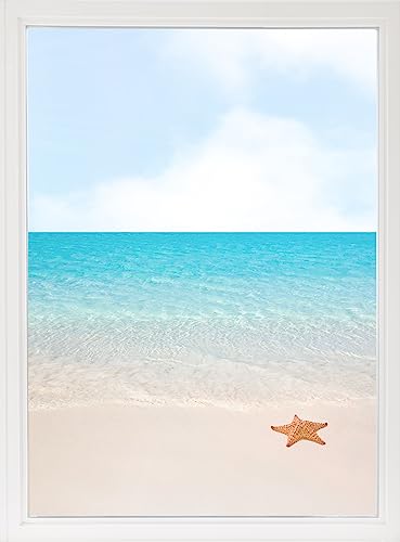 GRAZDesign Fensterfolie Blickdicht, Sichtschutzfolie für Fenster und Glastüren, Mehrfarbig, Vinyl, UV-beständig, Selbstklebend, Strand mit Seestern Motiv (70x57cm) von GRAZDesign