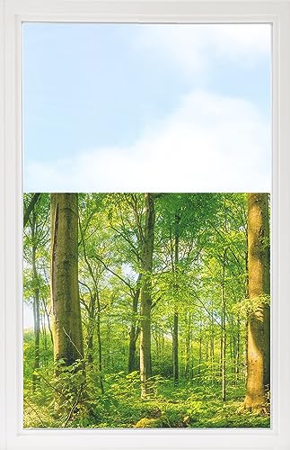 GRAZDesign Fensterfolie Blickdicht Sichtschutz, Sichtschutzfolie Fenster, Glastüren, Duschkabine, Milchglasfolie Bedruckt mit Motiv Wald 60x57cm von GRAZDesign