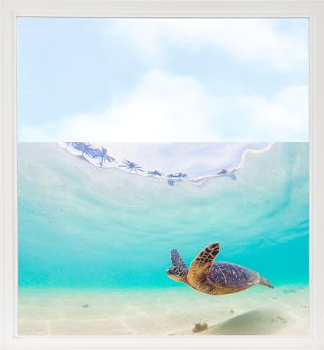 GRAZDesign Fensterfolie Unterwasser - Sichtschutzfolie Schildkröte - Klebefolie Fenster Blau (130x57cm) von GRAZDesign