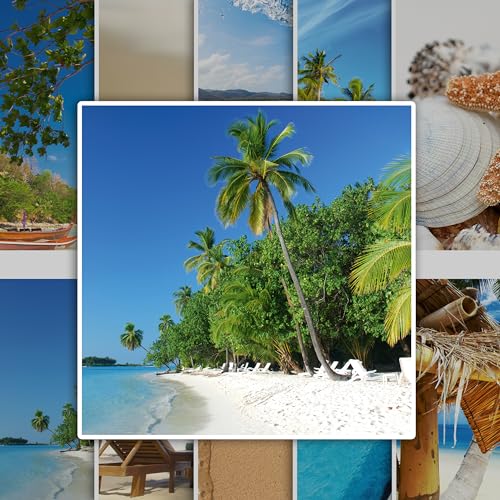 GRAZDesign Fliesenaufkleber Bad & Küche Strand Muscheln Meer Fliesenbilder Klebefliesen selbstklebend - 15x15cm / 50 Stück GRAZDesign Fliesenaufkleber Bad & Küche Strand Muscheln Meer Fliesenbilder Klebefliesen selbstklebend - 15x15cm / 50 Stück von GRAZDesign