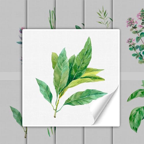 GRAZDesign Fliesenaufkleber Küche Kräuter in grün grau, Klebefliesen selbstklebend Küchenfliesen - 15x15cm / 10 Stück GRAZDesign Fliesenaufkleber Küche Kräuter in grün grau, Klebefliesen selbstklebend Küchenfliesen - 15x15cm / 10 Stück von GRAZDesign