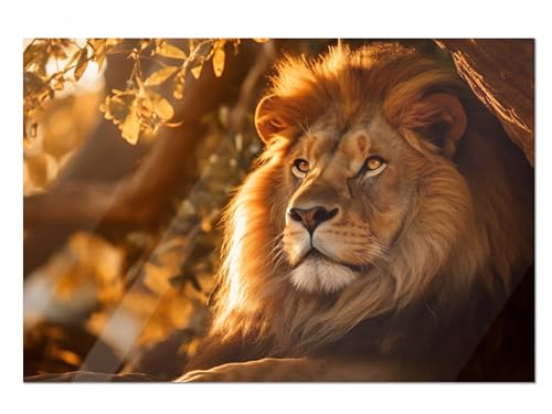 GRAZDesign Glasbild Löwe Nahaufnahme, Afrika Glasbilder Wandbilder aus Glas, Wanddeko Wohnzimmer, Küche, Flur, Büro - 80x50cm GRAZDesign Glasbild Löwe Nahaufnahme, Afrika Glasbilder Wandbilder aus Glas, Wanddeko Wohnzimmer, Küche, Flur, Büro - 80x50cm von GRAZDesign