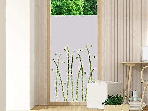 GRAZDesign Milchglasfolie Streifen Sichtschutzfolie Fenster - Fensterfolie Blickdicht/Motiv: Wiese Natur für Wohnzimmer / 100x80cm Breite x Höhe von GRAZDesign