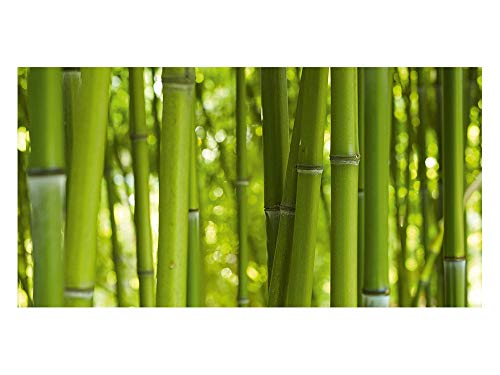 GRAZDesign Fensterfolie Bad Blickdicht Bambus - Sichtschutzfolie maritim Badezimmer - für Dusche & Fenster - 80x57cm / Bambus in Grün von GRAZDesign