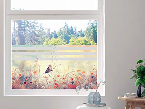 GRAZDesign Sichtschutzfolie Blumen, Fensterfolie für Küche, Wohnzimmer, Blickdichte Folie / 90x57cm von GRAZDesign