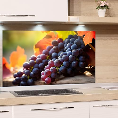 GRAZDesign Spritzschutz Küche aus Glas - Weintrauben Italien - Küchenrückwand hinter Herd und Spüle - 80x50cm von GRAZDesign