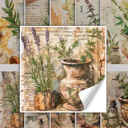 GRAZDesign Vintage Fliesenaufkleber Küche Kräuter in grün braun, Klebefliesen selbstklebend Küchenfliesen - 10x10cm / 50 Stück von GRAZDesign