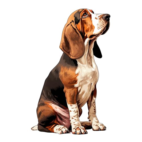 GRAZDesign Wandtattoo Hund Basset Hound Dackel für Wohnzimmer, Schlafzimmer, Flur, Wandaufkleber Wandsticker selbstklebend - 63x40cm von GRAZDesign