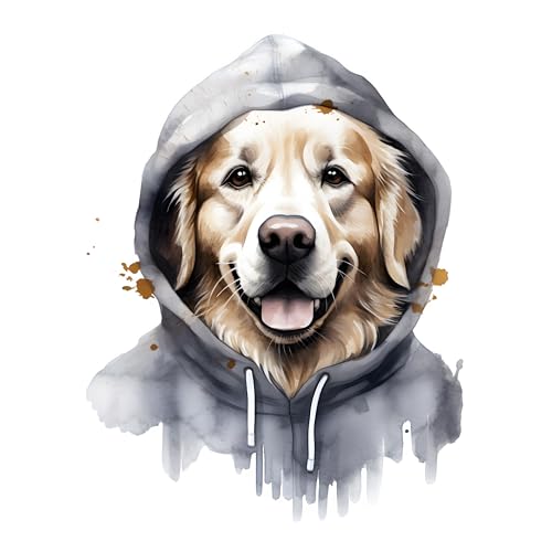 GRAZDesign Wandtattoo Hund Golden Retriever Cooles Motiv für Wohnzimmer, Schlafzimmer, Jugendzimmer, Wandsticker als Wanddeko, Wandaufkleber - 39x30cm von GRAZDesign