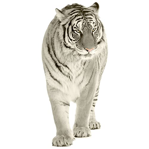 GRAZDesign Wandtattoo Tiger laufend | Wandaufkleber Afrika | Wandsticker Deko Aufkleber 3d - 124x57cm von GRAZDesign