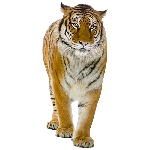 GRAZDesign Wandtattoo Tiger laufend | Wandaufkleber Afrika | Wandsticker Deko Aufkleber 3d - 126x57cm von GRAZDesign