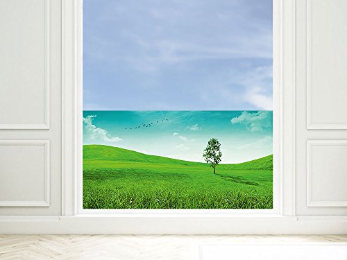 Sichtschutzfolie Gras - Wiese mit Baum, Glasdekorfolie zur Deko, Blickdichte Fensterfolie, 90x57cm von GRAZDesign