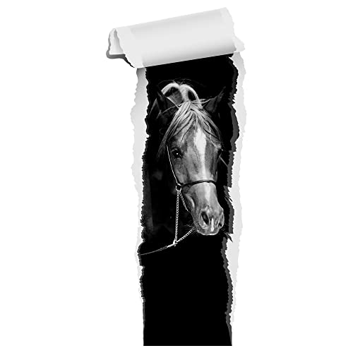 Wandtattoo Pferd Tapete | Wandtattoo Kinderzimmer Mädchen | Wandsticker Pferdekopf braun | Deko Wanddeko selbstklebend XXL Schwarz Weiß Bild, 137x57cm von GRAZDesign