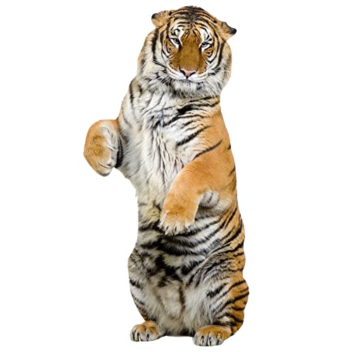 GRAZDesign Wandtattoo Tiger sitzend | Wandaufkleber Afrika | Wandsticker Deko Aufkleber 3d - 103x50cm von GRAZDesign