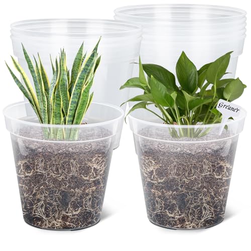 GREANER 25,4 cm Pflanztöpfe, transparent, verstärkte Pflanztöpfe, hohe Transparenz, Blumenpflanzenbehälter mit 20 Pflanzenetiketten für Blumen, Samen, Sukkulenten, Gemüse (10 Stück) von GREANER
