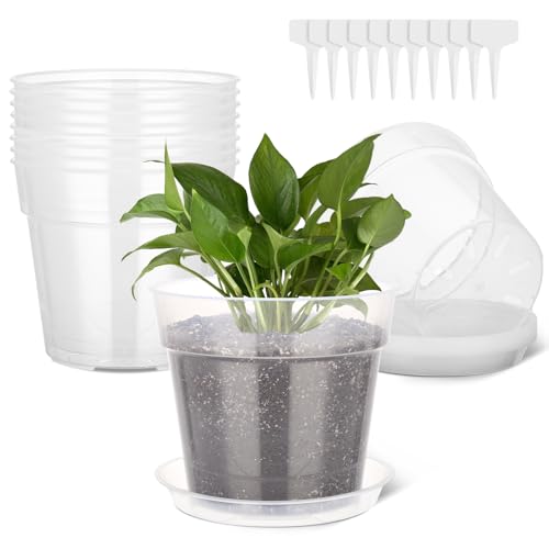 GREANER Blumentöpfe, 22,9 cm, 10 Packungen, transparenter Kunststoff-Gartentopf mit Untersetzern, langlebiger Übertopf für Zimmerpflanzen, Kräuter, Blumen und Kakteen, mit 10 Pflanzenetiketten GREANER Blumentöpfe, 22,9 cm, 10 Packungen, transparenter Kunststoff-Gartentopf mit Untersetzern, langlebiger Übertopf für Zimmerpflanzen, Kräuter, Blumen und Kakteen, mit 10 Pflanzenetiketten von GREANER