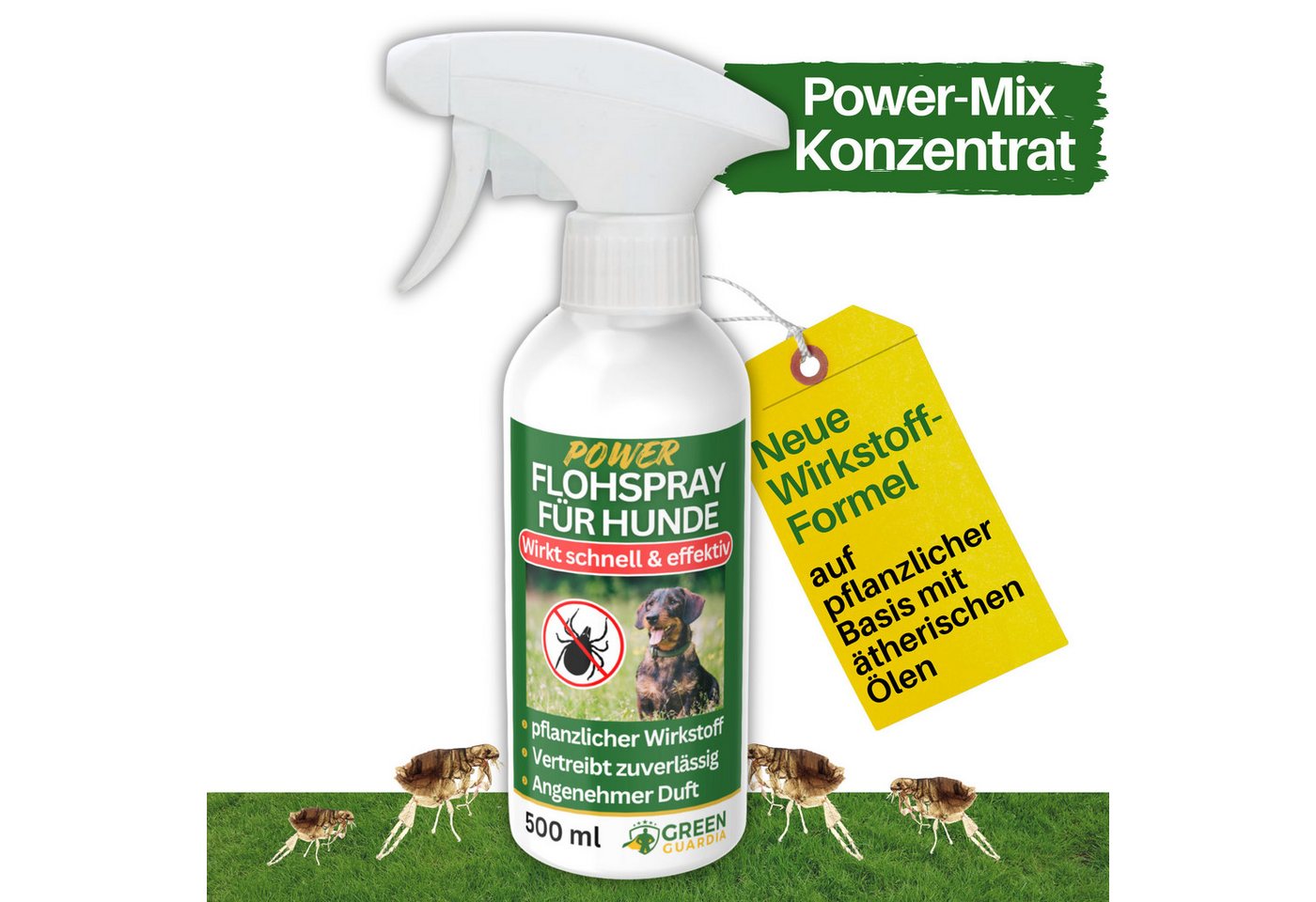 GREEN GUARDIA Insektenvernichter Flöhe Abwehrspray Power-Konzentrat für Hunde, 500ml, effektive und umweltfreundliche Alternative Schädlinge zu bekämpfen GREEN GUARDIA Insektenvernichter Flöhe Abwehrspray Power-Konzentrat für Hunde, 500ml, effektive und umweltfreundliche Alternative Schädlinge zu bekämpfen von GREEN GUARDIA