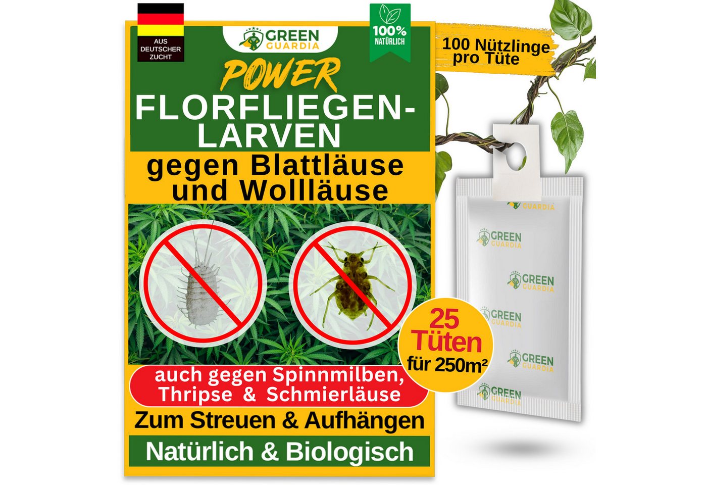 GREEN GUARDIA Insektenvernichter Florfliegenlarven-Eier gegen Blattläuse und Wollläuse - ohne Chemie, effektive und umweltfreundliche Alternative Schädlinge zu bekämpfen GREEN GUARDIA Insektenvernichter Florfliegenlarven-Eier gegen Blattläuse und Wollläuse - ohne Chemie, effektive und umweltfreundliche Alternative Schädlinge zu bekämpfen von GREEN GUARDIA