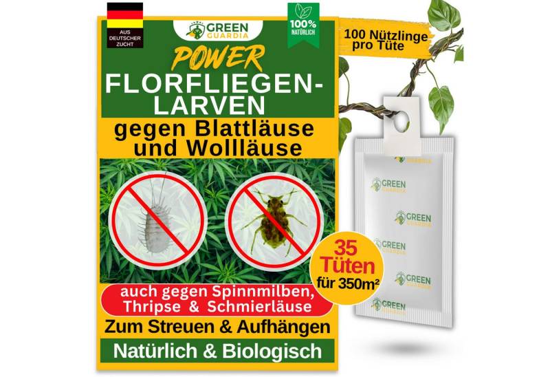 GREEN GUARDIA Insektenvernichter Florfliegenlarven-Eier gegen Blattläuse und Wollläuse - ohne Chemie, effektive und umweltfreundliche Alternative Schädlinge zu bekämpfen von GREEN GUARDIA
