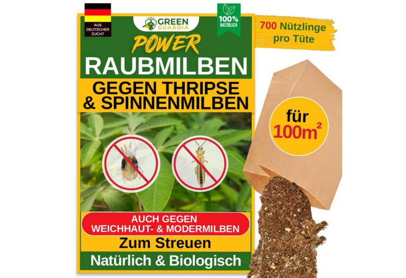 GREEN GUARDIA Insektenvernichter Raubmilben Mix gegen Thripse & Spinnmilben - Streuware zum Streuen, effektive und umweltfreundliche Alternative Schädlinge zu bekämpfen von GREEN GUARDIA