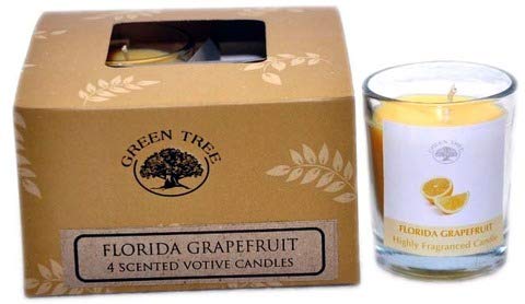 GREEN TREE CANDLE Florida Grapefruit Duftkerze votives, Weiß von GREEN TREE CANDLE