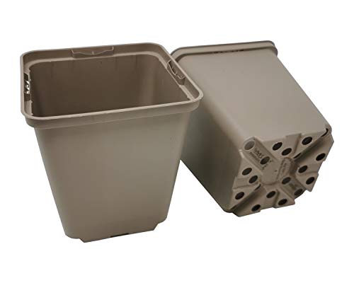 GREEN24 10 Stck. Recycling Pflanztöpfe Profi 9x9x9,5cm Farbe Taupe - RC Vierecktopf Anzuchttopf Pflanztopf Blumentopf Vierkant-Töpfe Pflanzcontainer (10, 9x9x9.5cm) von GREEN24
