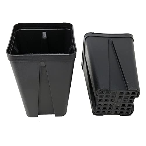 GREEN24 10 Stck. Vierecktopf 9 x 9 x 13 cm - Profi Spezialtopf für die Anzucht von Tiefwurzlern, extra robust | Pflanztopf Blumentopf Vierkant-Topf (10 Stück) von GREEN24