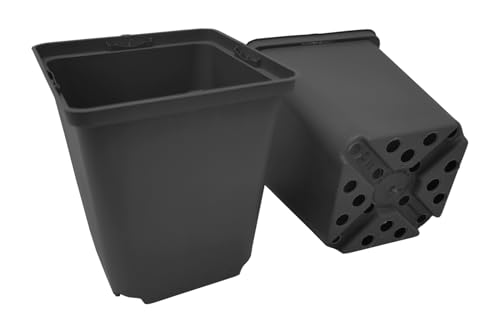 GREEN24 40 St. Pflanztöpfe 11x11x12cm Vierecktopf Profi Anzuchttopf Pflanztopf Blumentopf Vierkant-Töpfe (40, 11x11x12) von GREEN24