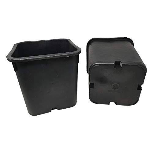 GREEN24 5 Stück XXL Pflanztöpfe 25 x 25 x 26 cm - 11 Liter Volumen - Vierecktopf Profi Anzuchttopf Pflanztopf Blumentopf Vierkant-Töpfe (5 Stück) von GREEN24