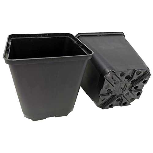 GREEN24 50 Stck. Pflanztöpfe 13x13x13cm Vierecktopf Profi Anzuchttopf Pflanztopf Blumentopf Vierkant-Töpfe (50, 13x13x13) von GREEN24
