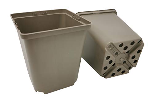 GREEN24 50 Stck. Recycling Pflanztöpfe Profi 11x11x12cm Farbe Taupe - RC Vierecktopf Anzuchttopf Pflanztopf Blumentopf Vierkant-Töpfe Pflanzcontainer (50, 11x11x12cm) von GREEN24