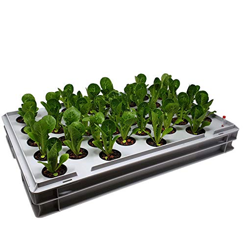 GREEN24 Aqua 36-A Pro Hydroponic Anzucht-System XL 40 x 60 cm Hydrokultur Indoor Pflanzen-Aufzucht für Nutzpflanzen, Gemüse, Kräuter, Salate, Zierpflanzen in Tiefwasserkultur von GREEN24