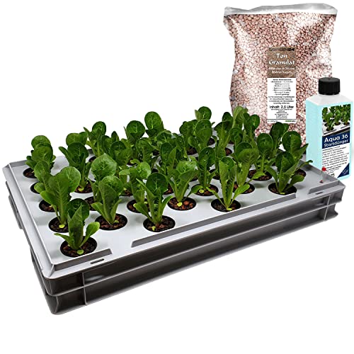 GREEN24 Aqua 36-B Pro Hydroponic Anzucht-System XL 40 x 60 cm Hydroponik Indoor Pflanzen-Aufzucht für Nutzpflanzen, Gemüse, Kräuter, Salate, Zierpflanzen in Tiefwasserkultur (Modell Aqua 36-B) von GREEN24