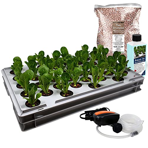 GREEN24 Aqua 36-C Pro Hydroponic Anzucht-System XL 40 x 60 cm Hydroponik Indoor Pflanzen-Aufzucht für Nutzpflanzen, Gemüse, Kräuter, Salate, Zierpflanzen in Tiefwasserkultur (Modell Aqua 36-C) von GREEN24