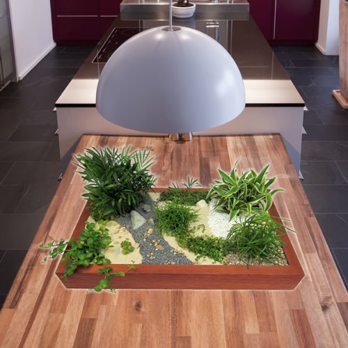 Miniaturgarten - Zimmergarten, kleine Mobile Gartenanlage - der Garten für die Wohnung - Standard Birke, dunkel gebeizt von GREEN24