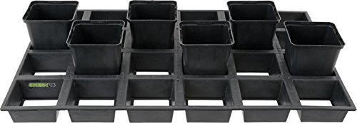 GREEN24 Profi Gitterplatte für 24 Viereck Pflanztöpfe Blumentöpfe, Kulturplatte 9x9x9,5 cm Töpfe GREEN24 Profi Gitterplatte für 24 Viereck Pflanztöpfe Blumentöpfe, Kulturplatte 9x9x9,5 cm Töpfe von GREEN24
