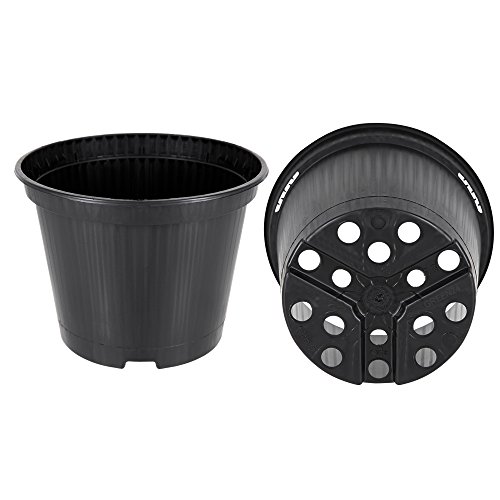 GREEN24 Runde Pflanztöpfe Ø 13 cm 100 Stck. Profi Anzuchttopf Pflanztopf Blumentopf Rundtöpfe von GREEN24