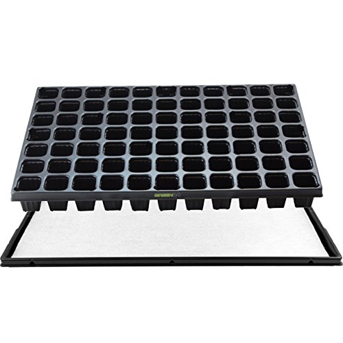 GREEN24 STP Anzuchtset QP77 Topfplatte mit 77 eckígen Töpfen, Anzuchtplatte 33,5 x 51,5 cm mit Untersetzer und Kapillarmatte QuickPot Set QP-77 (77 eckíge Töpfe BxH 40x50mm) Profi Multitopf-Platte von GREEN24