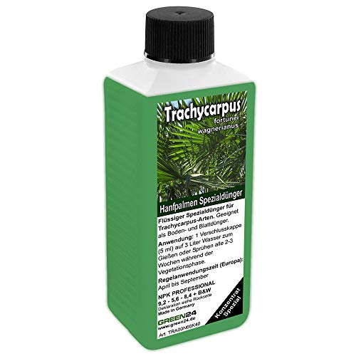 GREEN24 Trachycarpus Dünger für Hanfpalmen Tessinerpalmen Trachycarpus fortunei wagnerianus Palmen als Spezial Wurzeldünger + Blattdünger Profi Linie düngen von GREEN24