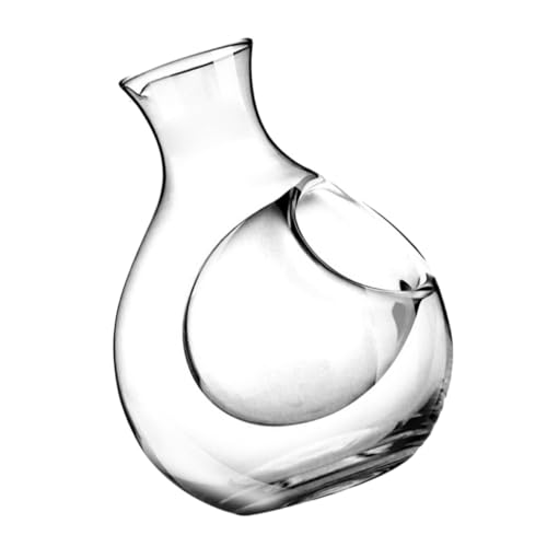 GREENADSCAPE Rotweinkaraffe Aus Glas 250 Ml Weinspender Transparente Weinflasche Für Zuhause von GREENADSCAPE